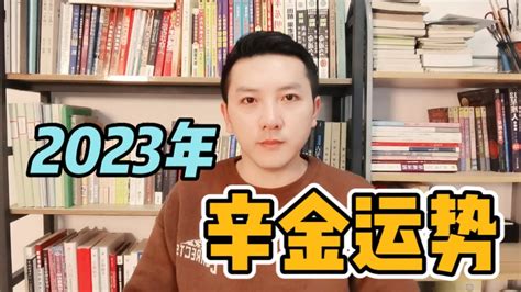 辛金2023|辛金日元——2023年发展趋势